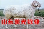 ص󳡡Сβֳ