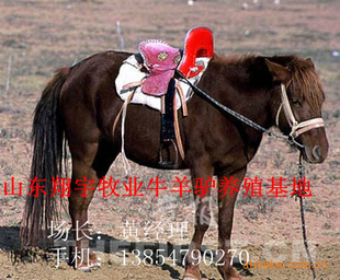 ЧɽƷɹ