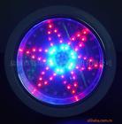 ӦLED