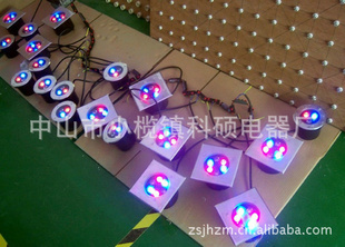 ҲʵƹIP68LED