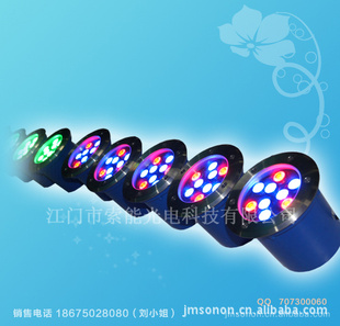LEDƳ