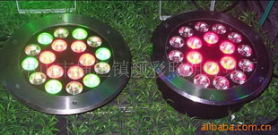 LEDƻӣȶ
