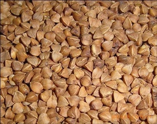 ڼĿ