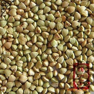 زھ2500ʶ