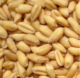 ½2010С