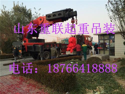 济南起重,济南起重设备吊装(图),济南重联起重设备