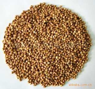 ũʳƷ޹˾ڶ˹