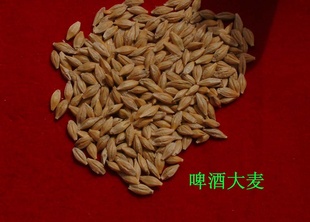 ơƴ