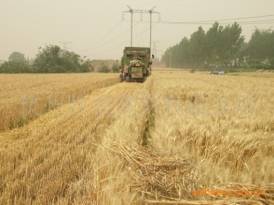 2010ļ²С