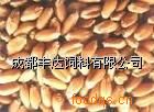 ̩С1300Ԫ/ӡһë
