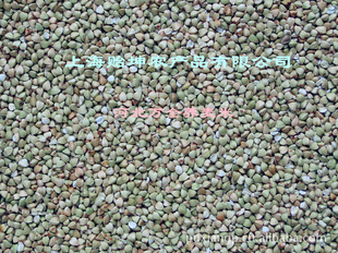 ӱȫףƷ