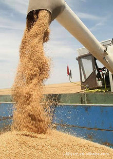 2011СɸССݱ