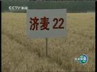 ֱ----22С