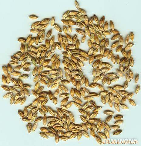 ڼơƴ