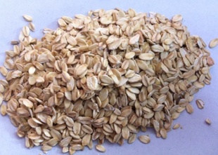 չʳƷƬӪǽѪ֬Ѫ500G