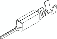 IST