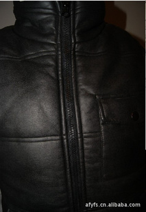 2011ϵյ¿׺ֻ֧