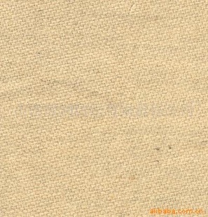 л鲼л鲼