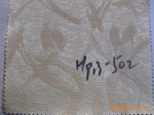 Ĳ鲼(H913-502)Ҳӭ