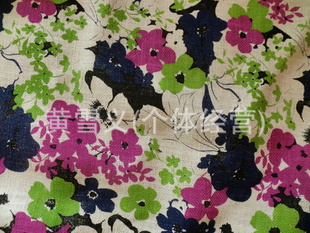 鲼ӡִϣ