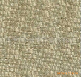 鲼鲼鲼