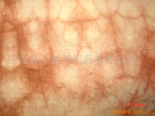 鲼鲼