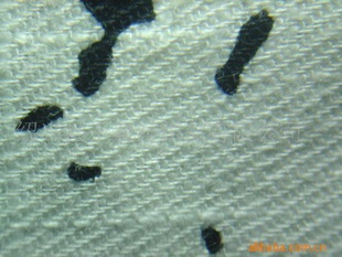 鲼鲼