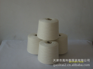 ɴGLT100126S/2