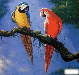 ƴͼϵƴеļԼֱ