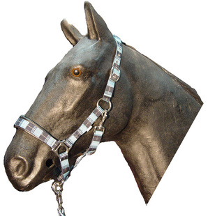 HEADCOLLAR