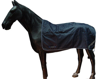 RIDINGSHEET