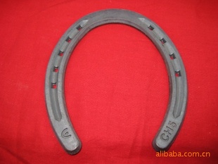 Horseshoes-Cϵ-CH3-
