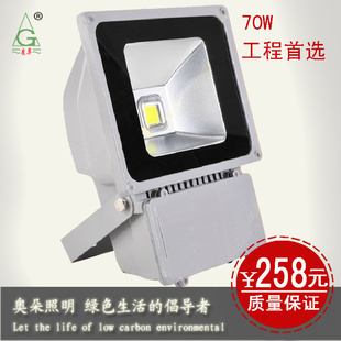 LED220V70WͶⷺͶ1WƬͥ԰̻