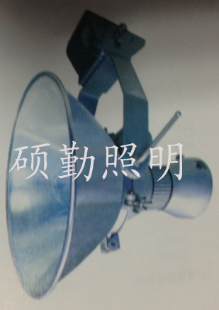 CNT9160SQ-CNT9160ˮͶ