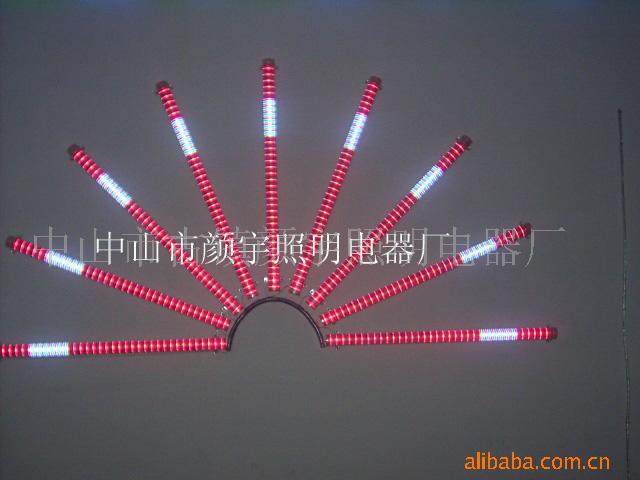 LED߲ˮ