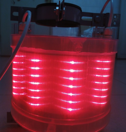 led-led-ȫled
