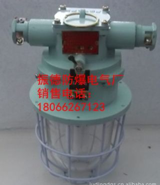 振德供应DGS20/127Y(A)矿用隔型(无极)荧光灯