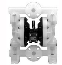 Tϵ7.9ֱ-HYDRO-LEDUC