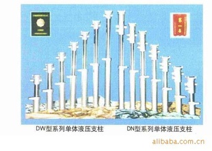 ɽ壬DW16-300/100⣬ɿ