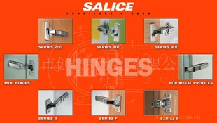 SALICEŽºҳ
