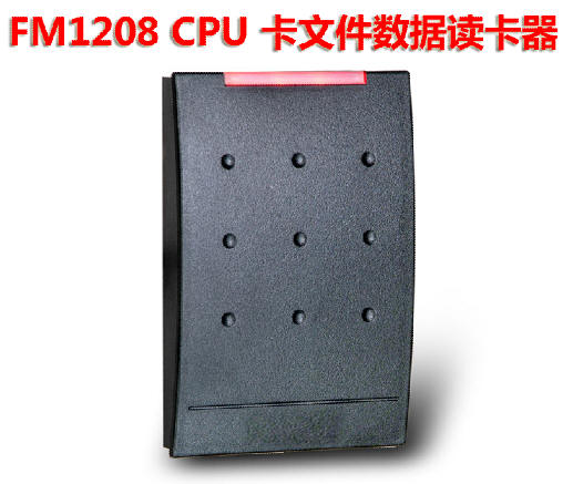 FM1208׼CPUļݣ