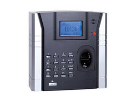 пָŽF4Plus