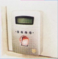 Żָʶǿǿ