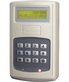 Q2006Ž
