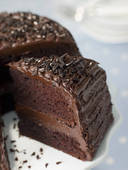 ֱ&nbsp;ChocMagmaCakeʽɿ