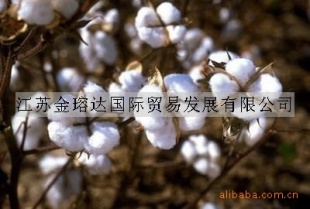 ڰ޻/Ҷ޻
