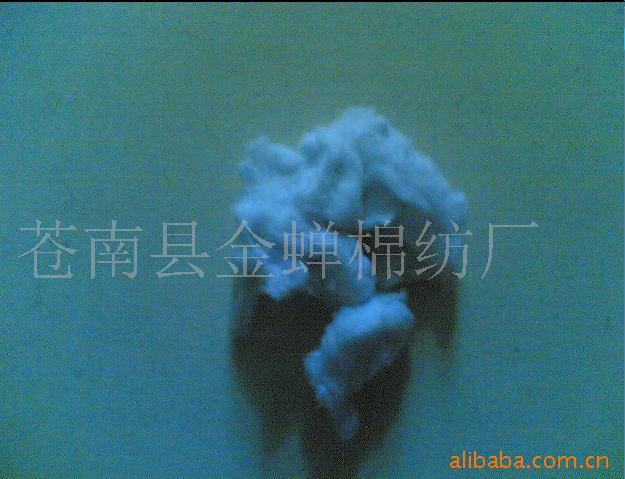,Ư,޻