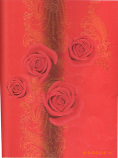 ǧȫ޲2500mm