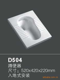 D504ʽױӼܰѡ