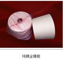 ɴCD21S/1(䣩ɴ